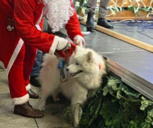 Orszak Świętego Mikołaja rozpoczął Magiczny Grudzień w Kielcach!