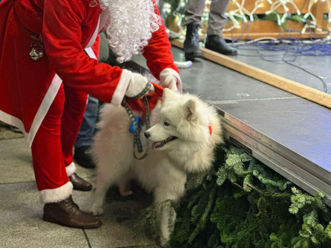Orszak Świętego Mikołaja rozpoczął Magiczny Grudzień w Kielcach!