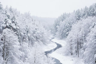 Odnaleziono zaginionego 37-latka! Nie zgadniesz, gdzie był cały czas