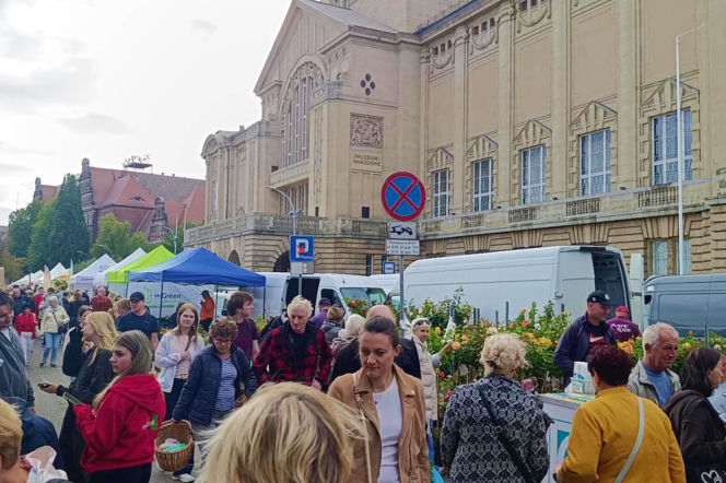 Kiermasz ogrodniczy "Pamiętajcie o ogrodach"
