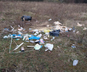 Poznań: Coraz więcej nielegalnych wysypisk! Zatrważające statystyki