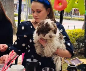 Baby shower Barbary Garstki