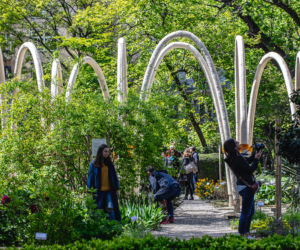 Circular Garden