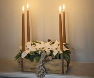 Biała gwiazda betlejemska