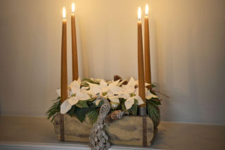 Biała gwiazda betlejemska