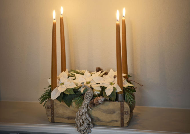 Biała gwiazda betlejemska