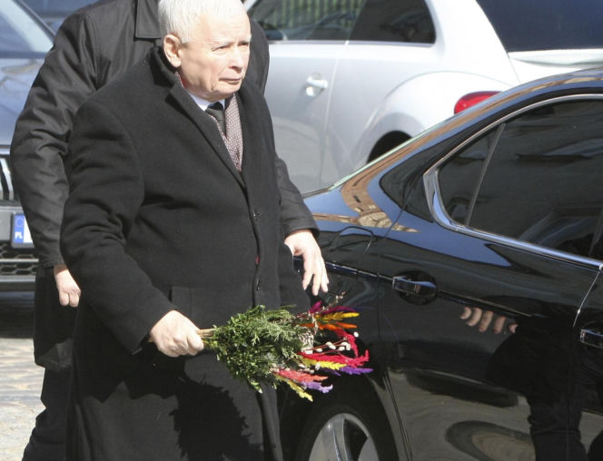 Jarosław Kaczyński szykuj się do świąt. Prezes PiS z kolorową palmą