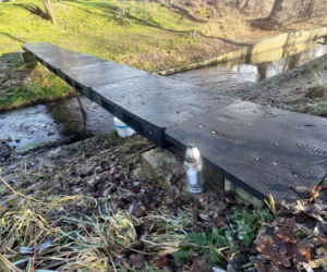 Ciało 11-letniej dziewczynki odnalezione niedaleko szkoły. Tragedia w Jeleniej Górze