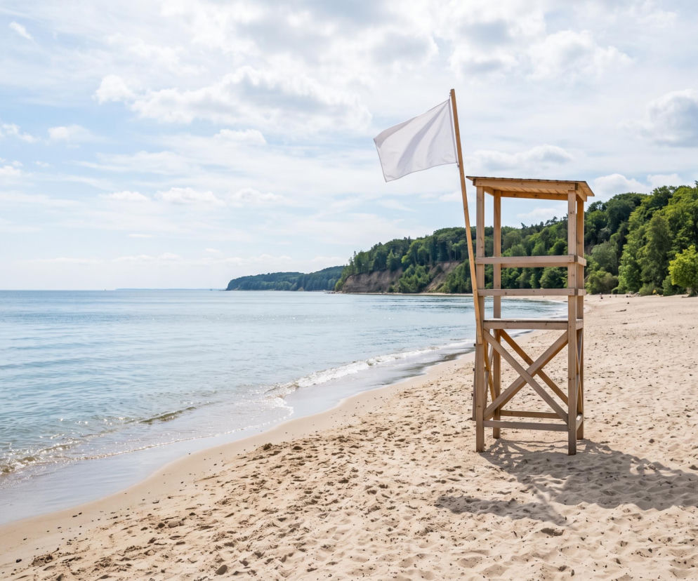 Sinice Gdynia. Czy w Gdyni można się kąpać 13.08? Flaga, warunki pogodowe