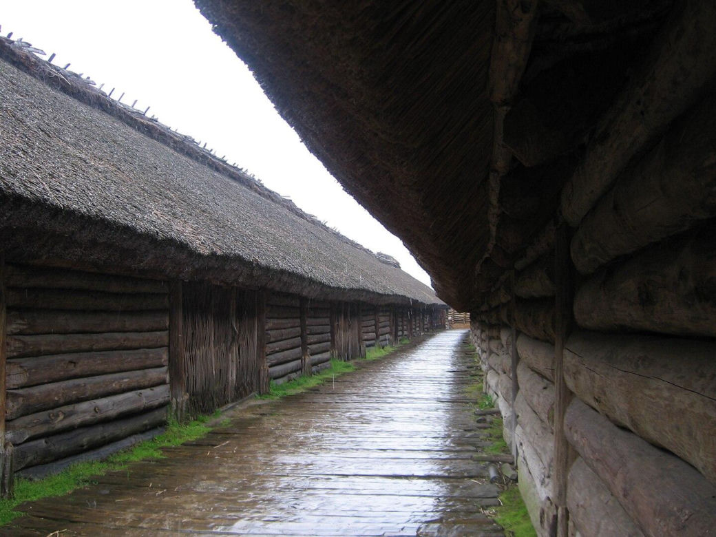 Biskupin