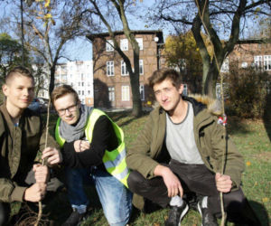 Sto drzew na 100. rocznicę odzyskania niepodległości w Toruniu