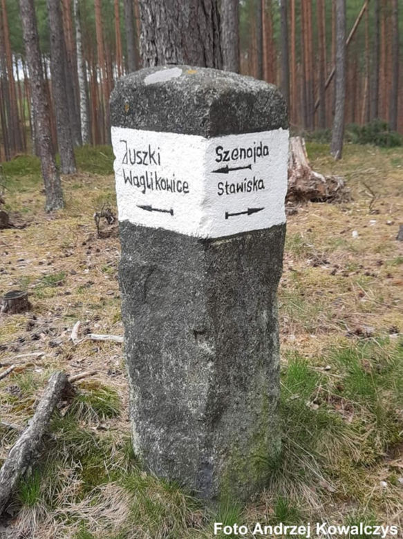 Jezioro Wielkie Oczko ogrodzone płotem. Zwierzęta odcięte od wody. Radny Gdańska: "Takiej dewastacji dawno nie widziałem"