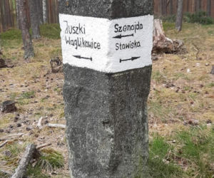 Jezioro Wielkie Oczko ogrodzone płotem. Zwierzęta odcięte od wody. Radny Gdańska: Takiej dewastacji dawno nie widziałem