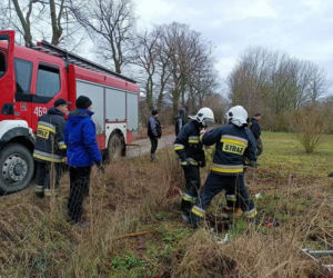 Pies wpadł do szamba. Strażacy z Wolina uratowali mu życie