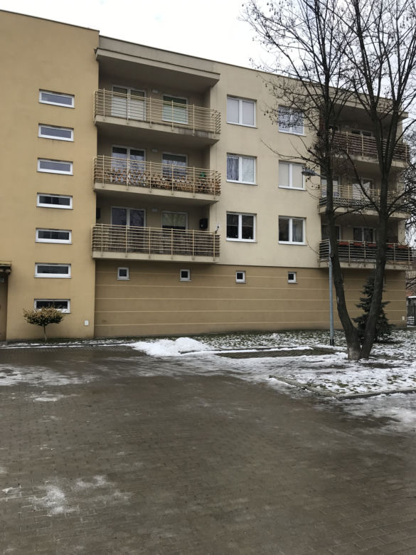 Seksprezenty dla Niesiołowskiego