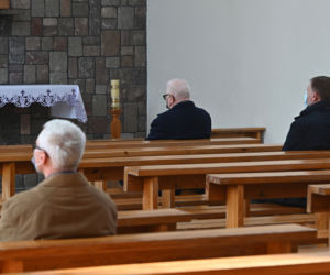 Prezes z palmą, Wałęsa bez