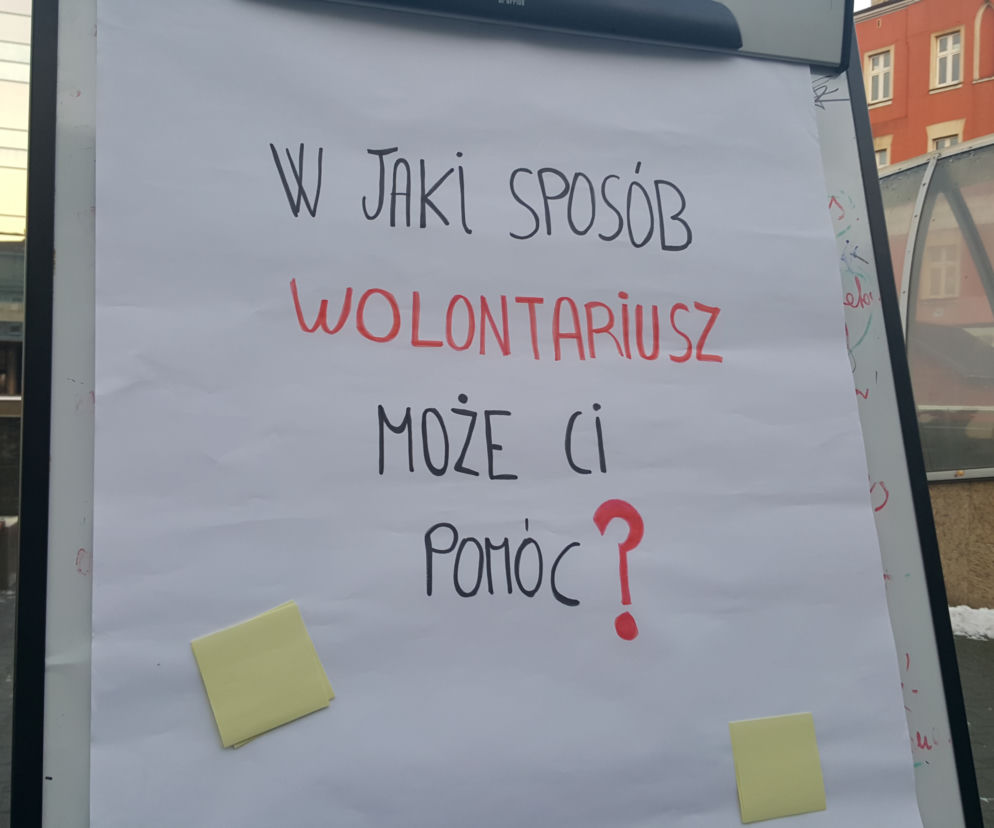 Międzynarodowy Dzień Wolontariatu w Sosnowcu 
