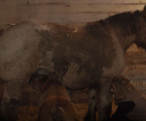  Rolnicy. Podlasie, odc. 7