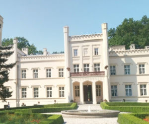 Pałac Mierzęcin