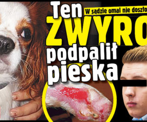 Ten zwyrol podpalił pieska