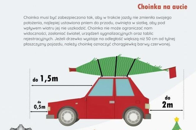 Jak przewieźć choinkę?