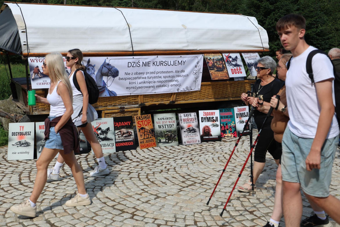 Protest przeciw przewozom konnym do Morskiego Oka