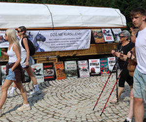 Protest przeciw przewozom konnym do Morskiego Oka