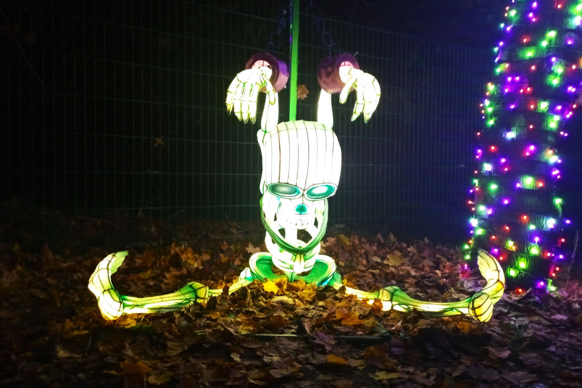 Garden of Lights w Szczecinie