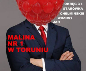 Mistrzowie kampanii