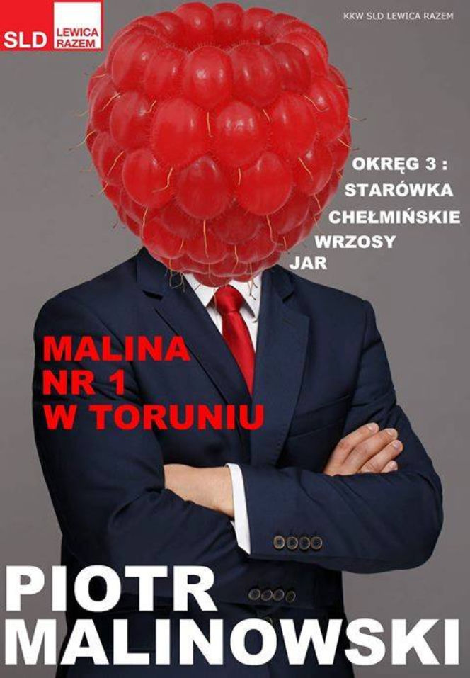 Mistrzowie kampanii
