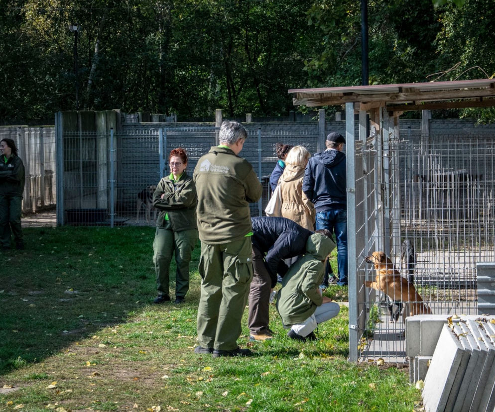 Schronisko dla bezdomnych zwierząt_Bełchatów