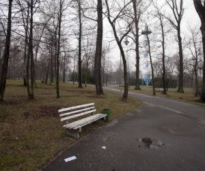 Park Kościuszki w Katowicach. W tym miejscu chciała się zabić Katarzyna Waśniewska
