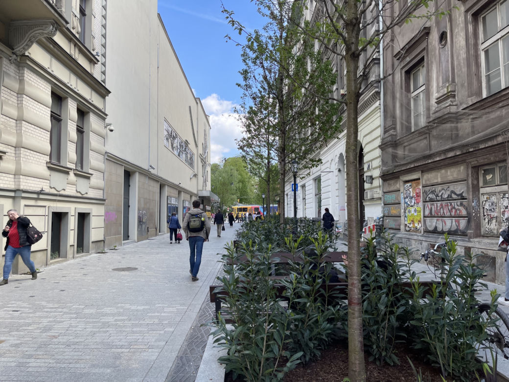 Zieleń w centrum miasta. Tak zmienia się ul. Krupnicza w Krakowie! 