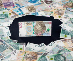 70% dopłaty do ubezpieczenia zwierząt. Rolnicy mogą odzyskać tysiące, ale jest jeden haczyk