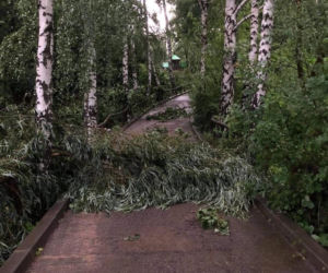 Nawałnica zniszczyła Zoo Płock! Placówka zamknięta! Co ze zwierzętami? [ZDJĘCIA]