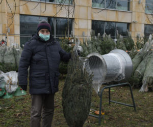  Gdzie najtaniej kupić choinkę w Warszawie? 