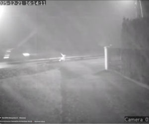 Dramat pod Krakowem. Seniorka czołgała się po jezdni, minęło ją kilkanaście samochodów