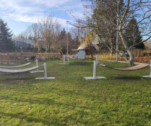 Rewitalizacja stawu przy ul. Bema w Białymstoku