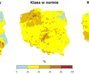 Pogoda na sierpień 2020: Długoterminowa prognoza pogody