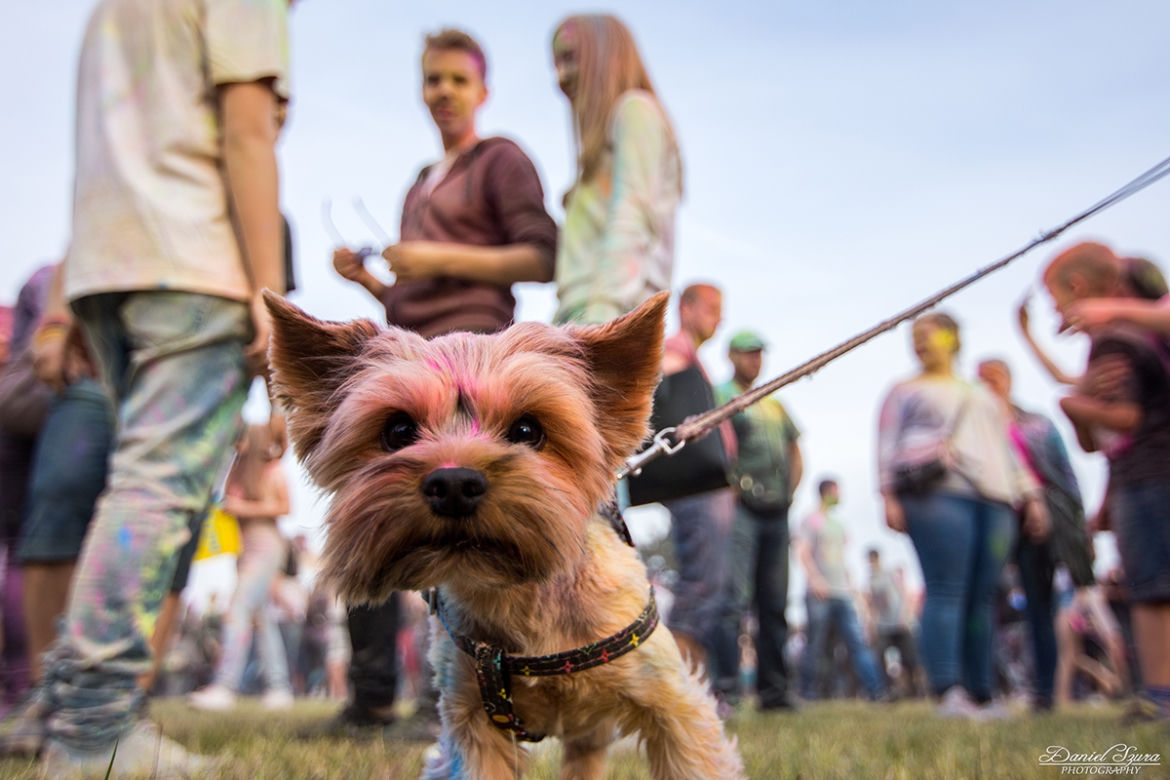 Festiwal Kolorów 2016 w Krakowie już za nami. Zobacz zdjęcia! [GALERIA]