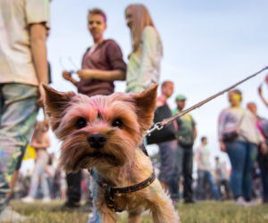 Festiwal Kolorów 2016 w Krakowie już za nami. Zobacz zdjęcia! [GALERIA]
