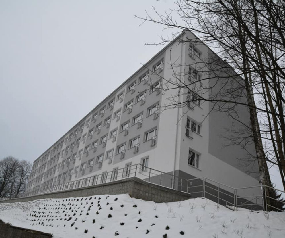 Samotniak w Olsztynie