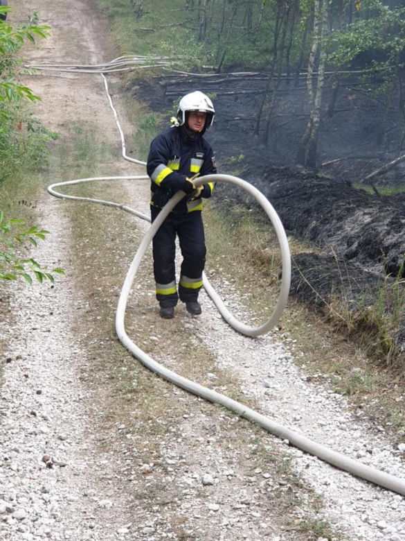Pożar lasu pod Bydgoszczą! 
