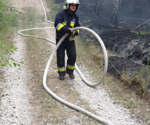 Pożar lasu pod Bydgoszczą! 