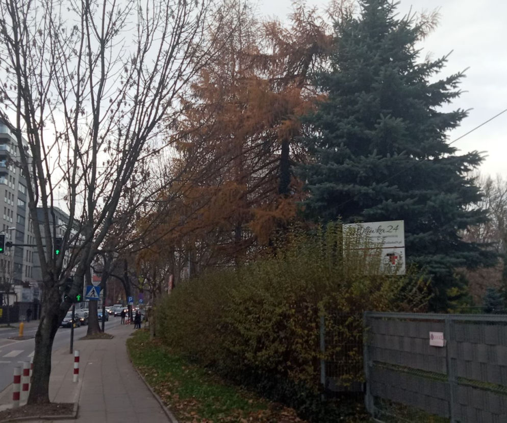 Działka przy ul. Wrocławskiej