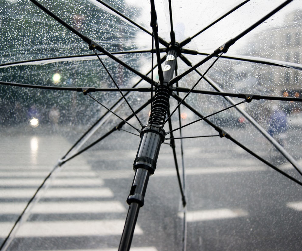 Parasol