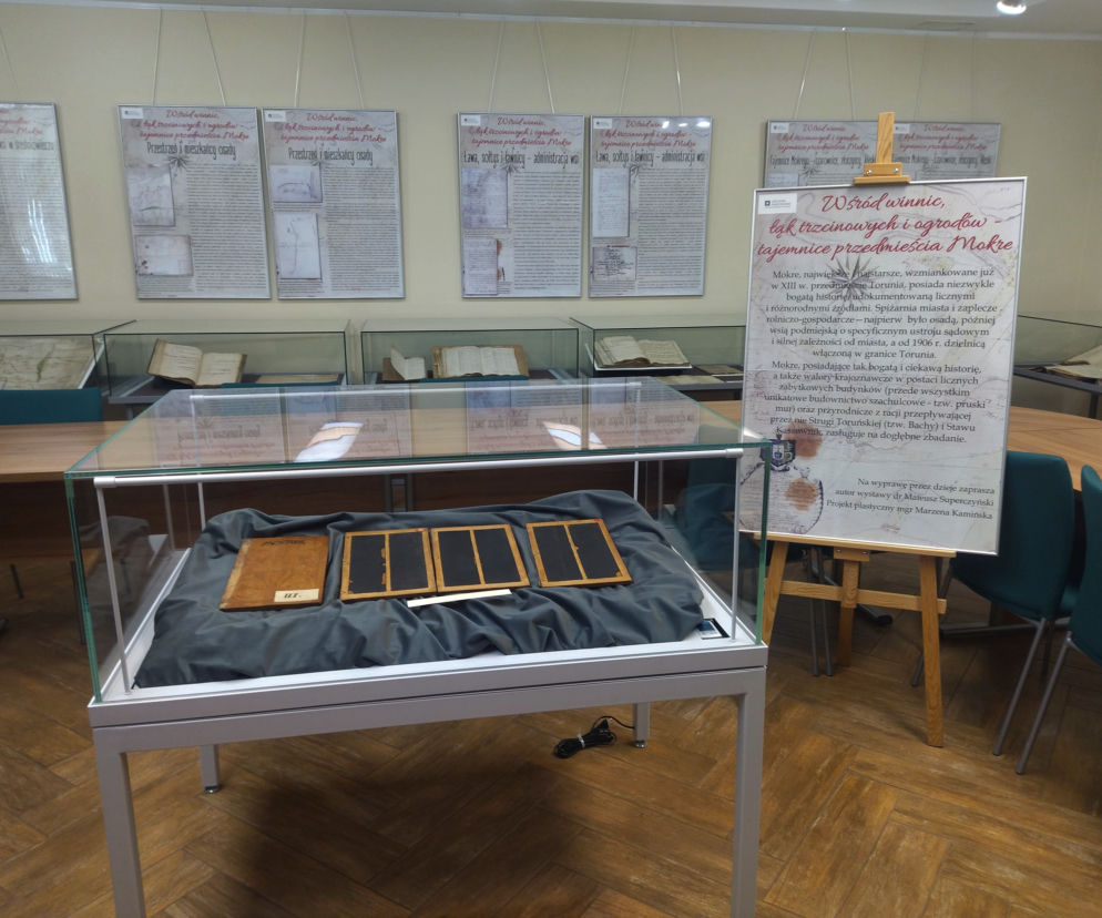 Czarownice, klęski i złoczyńcy. Tajemnice Mokrego odkrywa toruńskie archiwum [AUDIO]