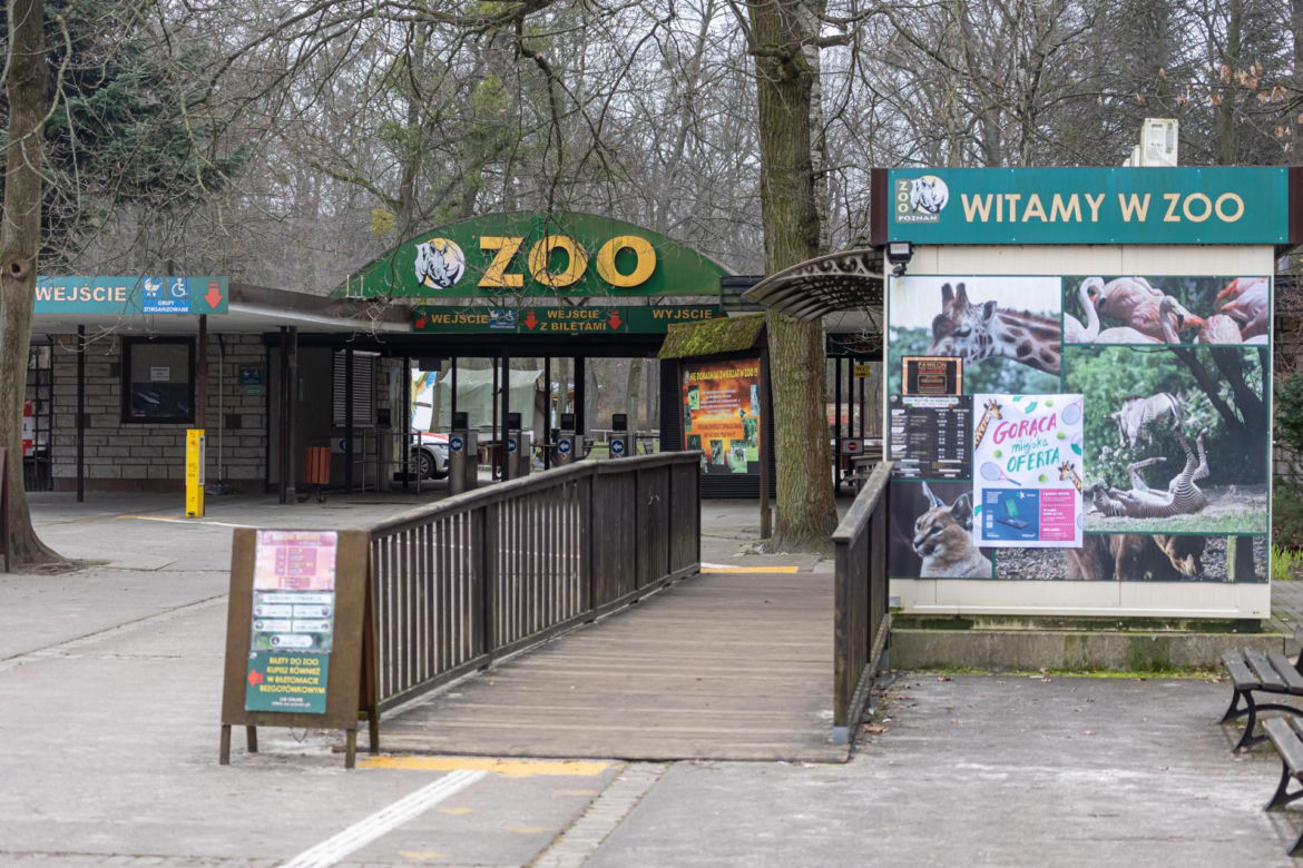 Zatrzymanie Ewy Z. - dyrektorki zoo w Poznaniu
