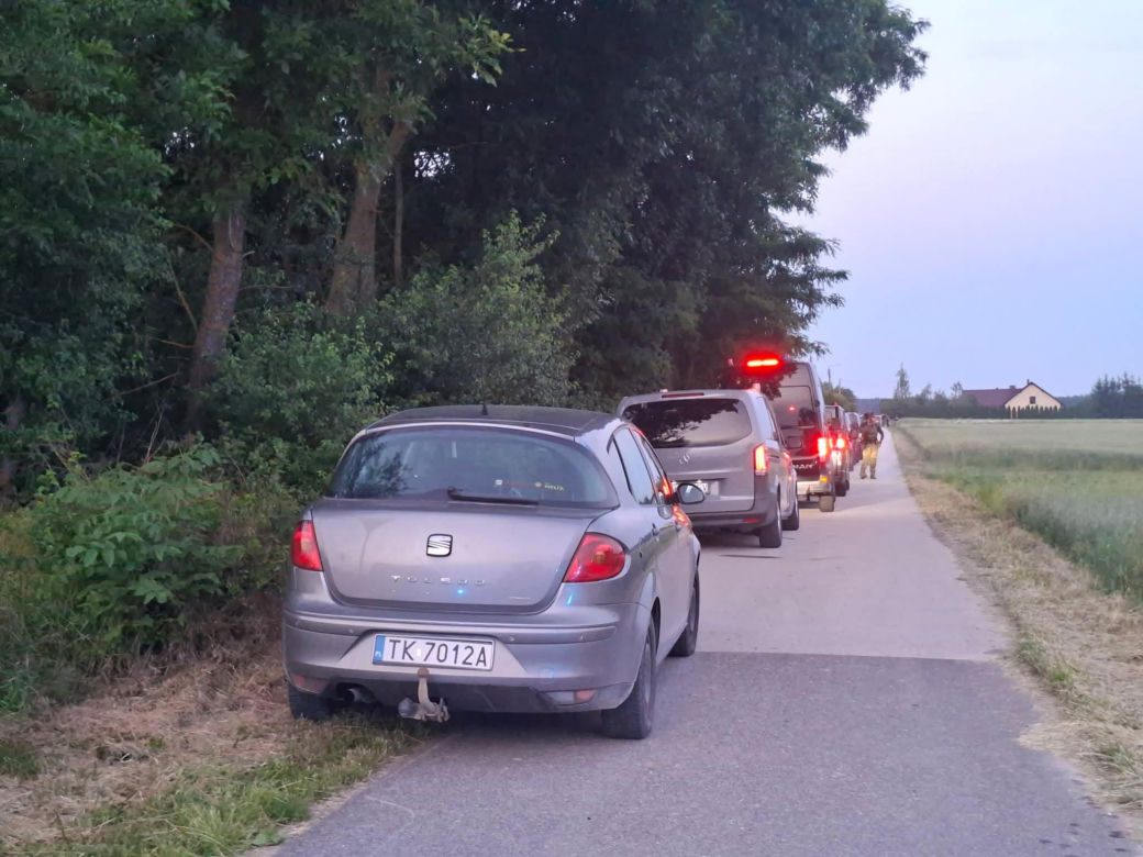 Zabójstwo w Mierzawie