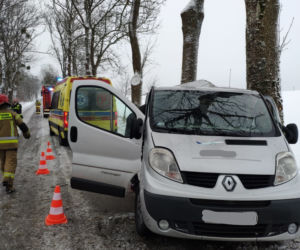 Bus uderzył w drzewo. Na szczęście podróżującym nic się nie stało